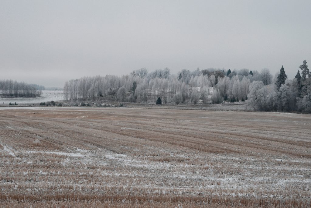 agro buvnieciba latvija no nisas risinajuma lidz eksporta potencialam