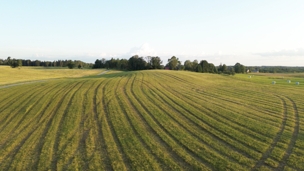 aizvadita projekta grace lauku klimata noturibas grupas tiessaistes tiksanas vidzeme
