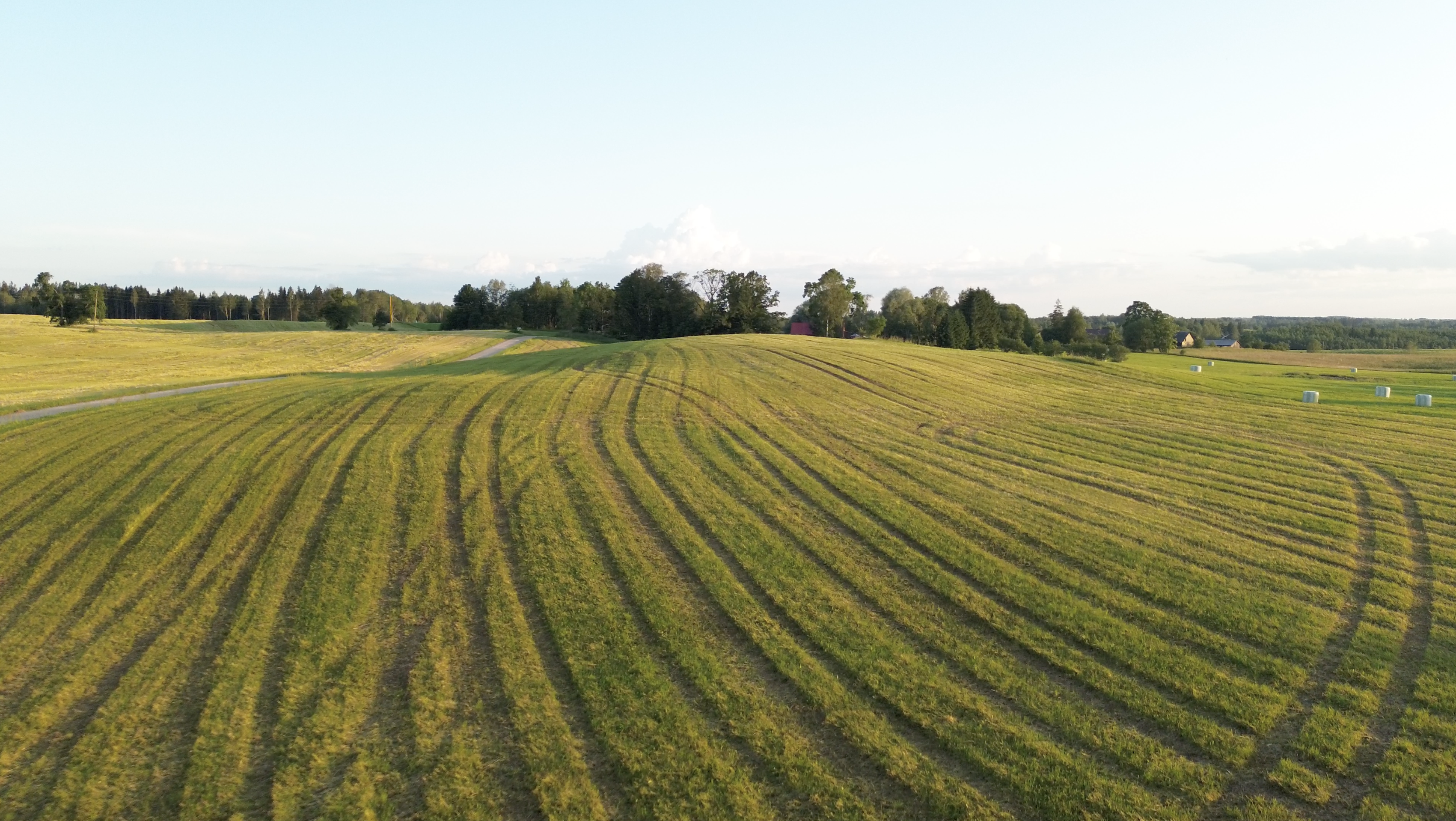 aizvadita projekta grace lauku klimata noturibas grupas tiessaistes tiksanas vidzeme