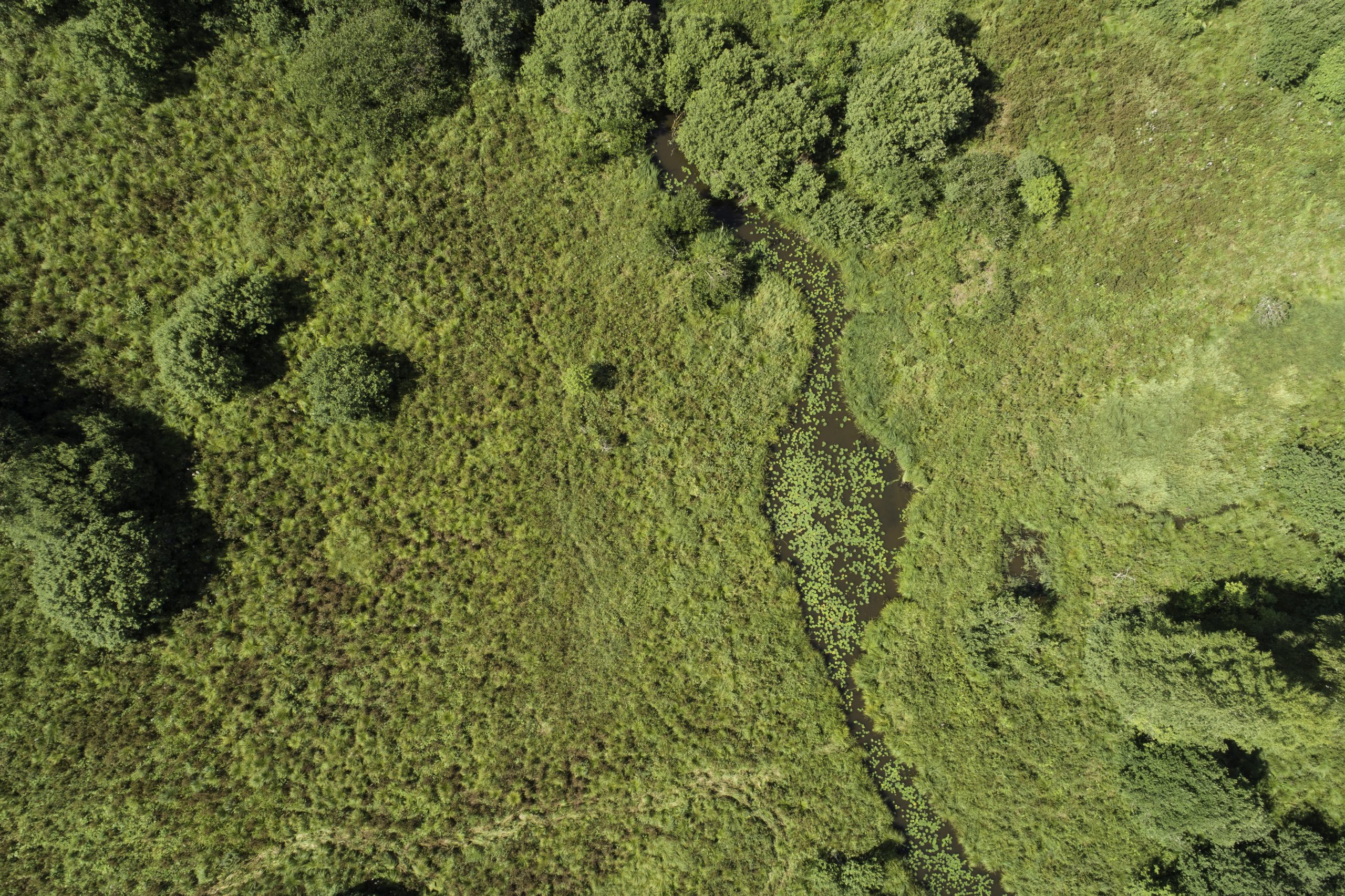 vidzemes planosanas regions aicina uz projekta grace lauku klimata noturibas grupas tiessaistes atklasanas pasakumu