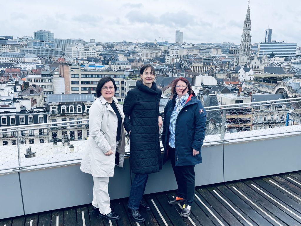 vidzemes parstavji brisele iepazistas ar klimata risku parvaldibas pieredzi