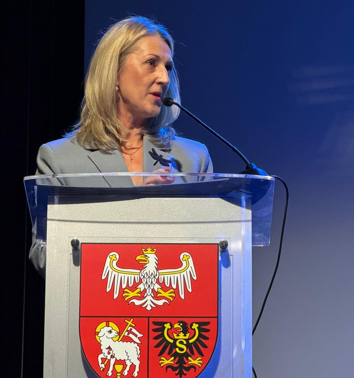 bsssc chairwoman inese suija markova addresses eu local dialogue on eastern border regions in olsztyn