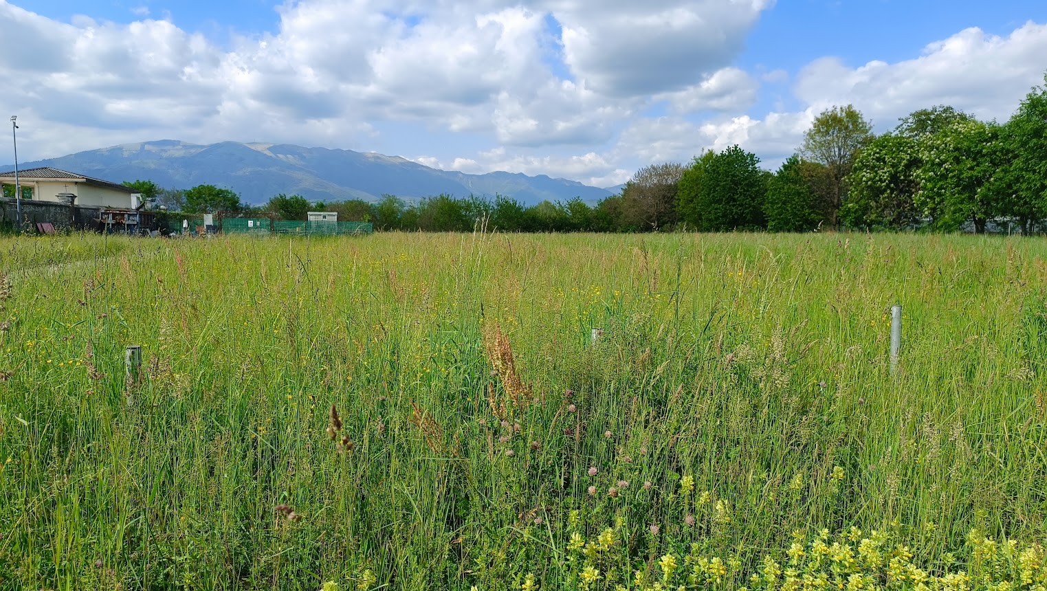 digitalas tehnologijas lauksaimnieciba ko var parnemt no italijas pieredzes