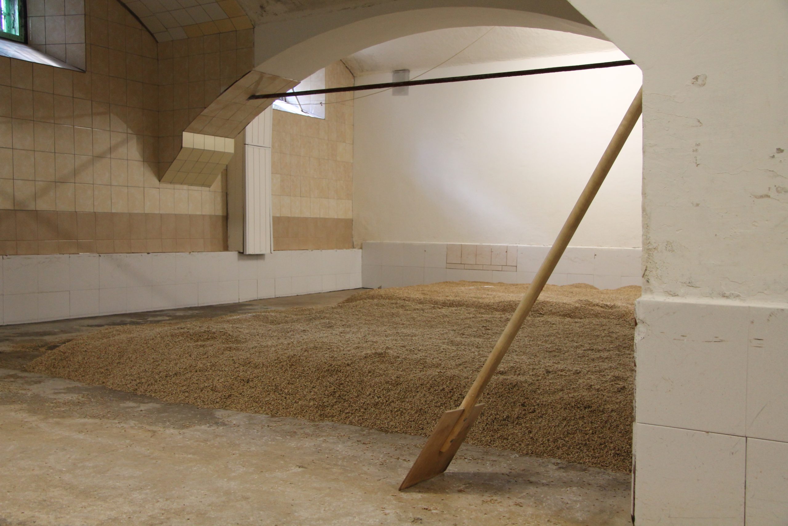 digitalizacija lauksaimnieciba uzlabo efektivitati bet izskirosa joprojam ir cilveka kompetence