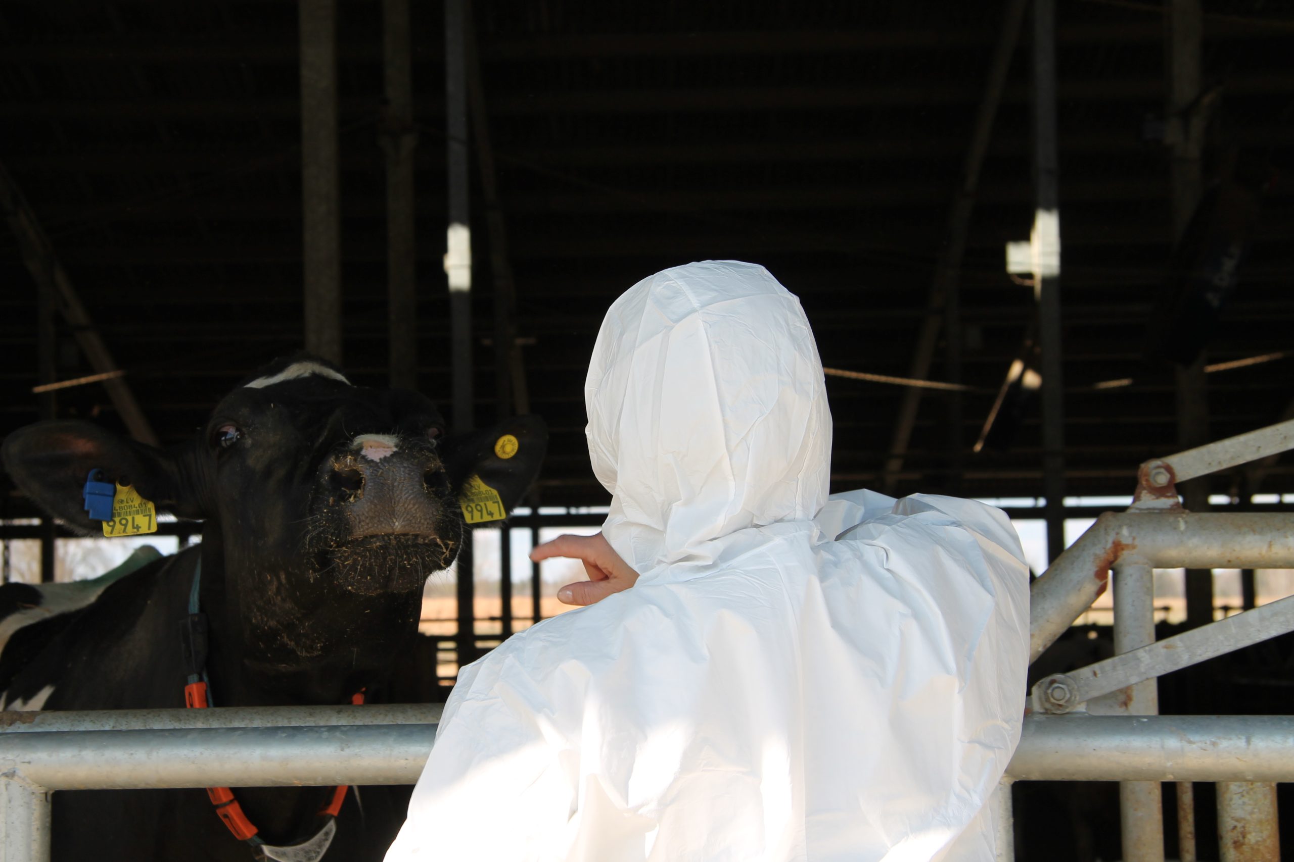 digitalizacija lauksaimnieciba uzlabo efektivitati bet izskirosa joprojam ir cilveka kompetence