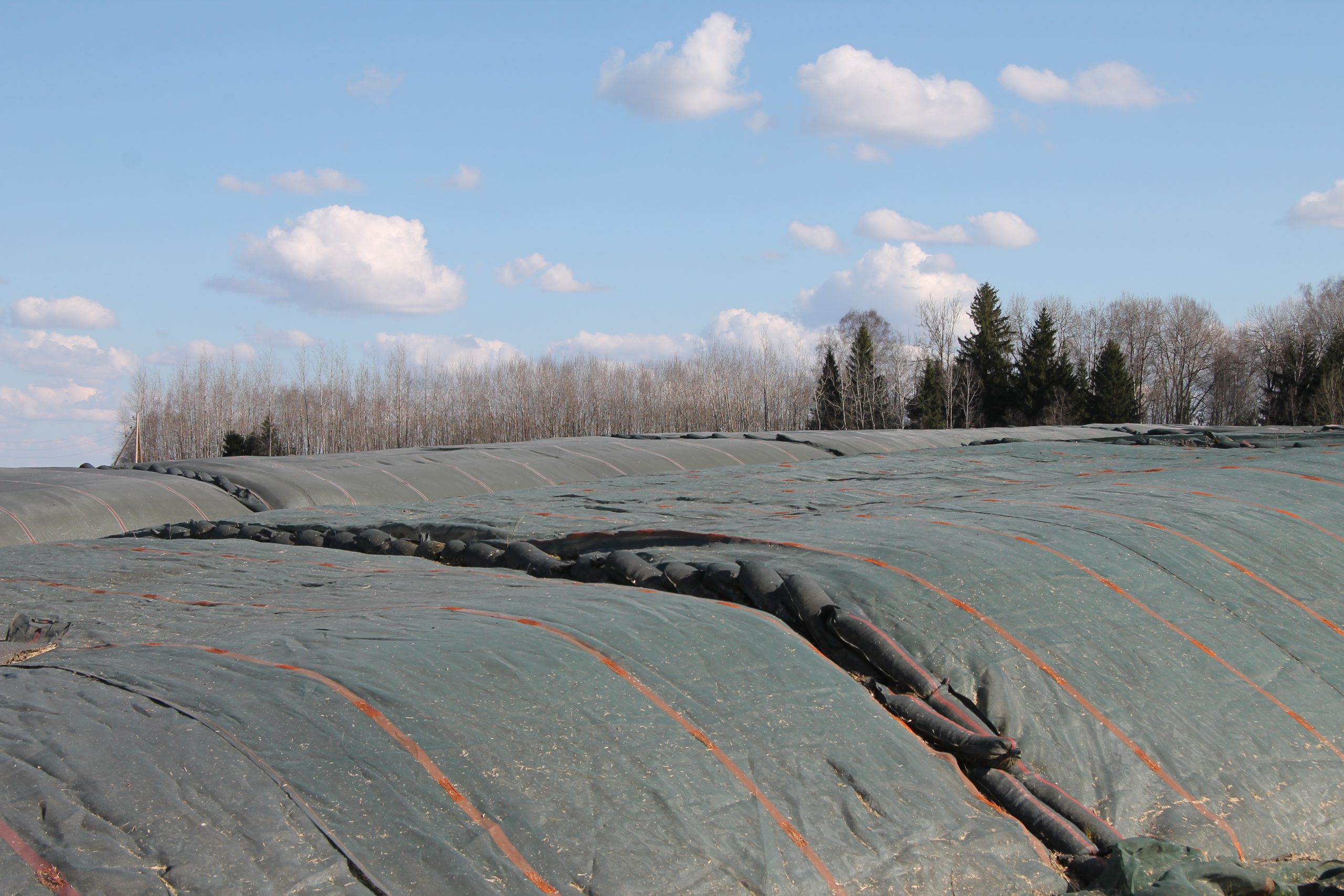 digitalizacija lauksaimnieciba uzlabo efektivitati bet izskirosa joprojam ir cilveka kompetence