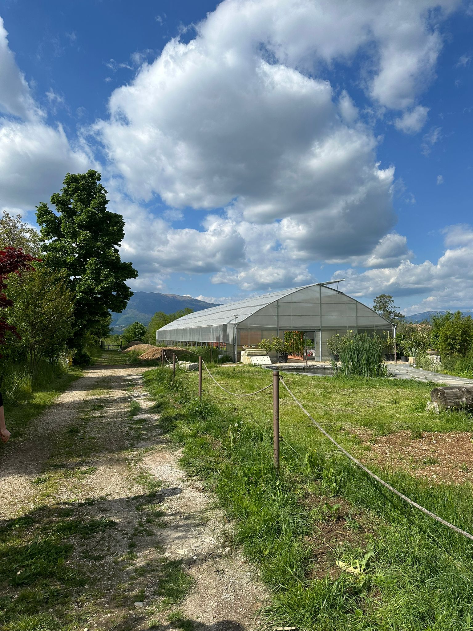 digitalas tehnologijas lauksaimnieciba ko var parnemt no italijas pieredzes