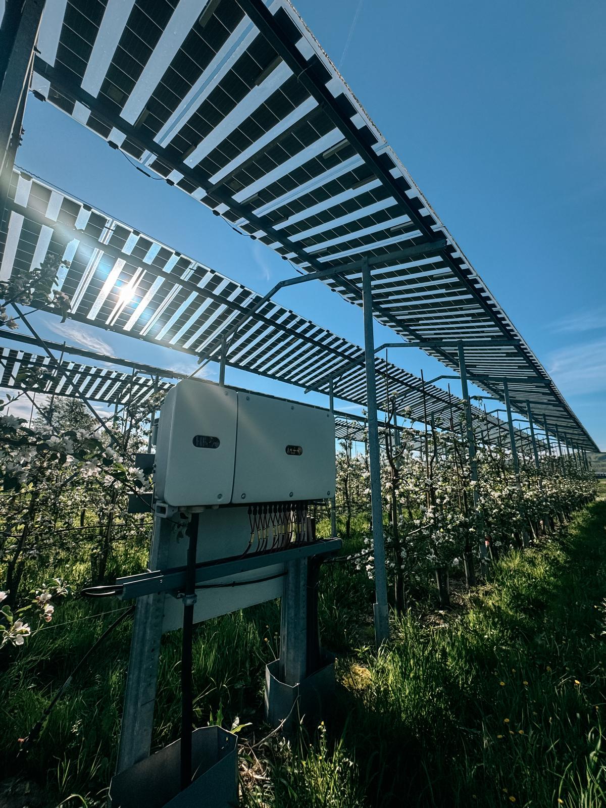 kukainu dzivotnes zalaji un saules energija austrijas pieredze biodiverse projekta