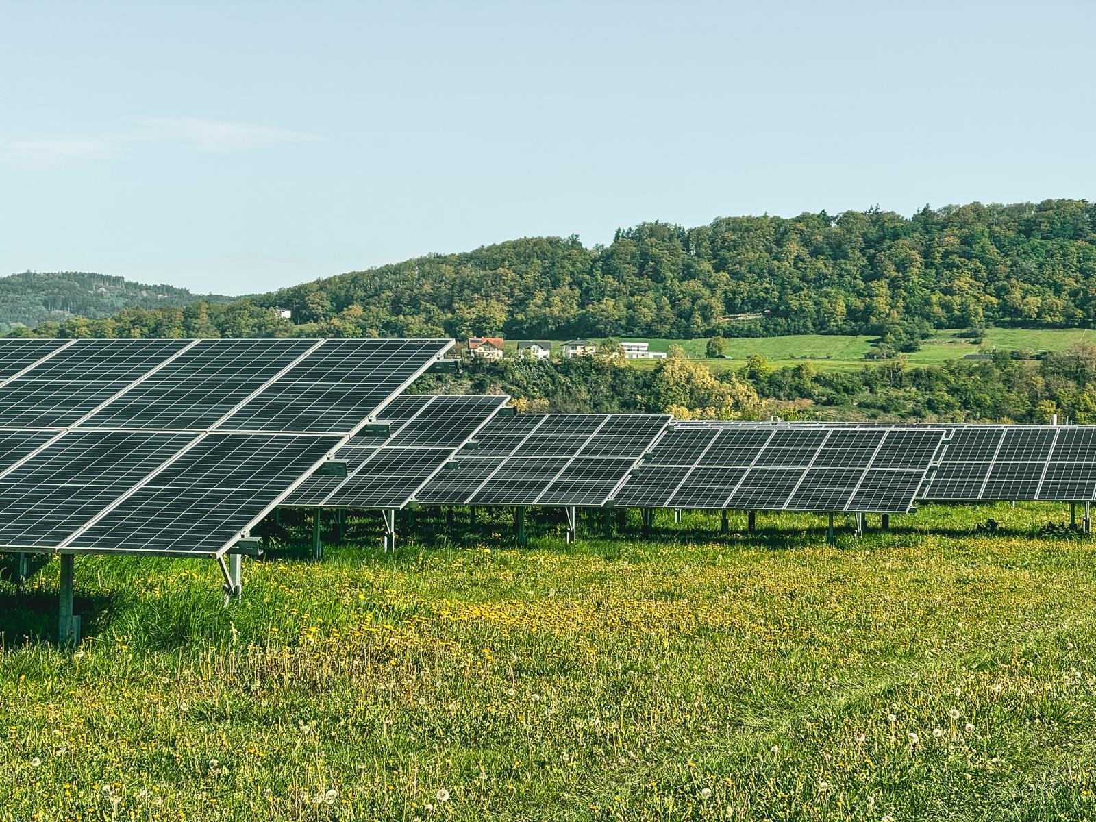 kukainu dzivotnes zalaji un saules energija austrijas pieredze biodiverse projekta
