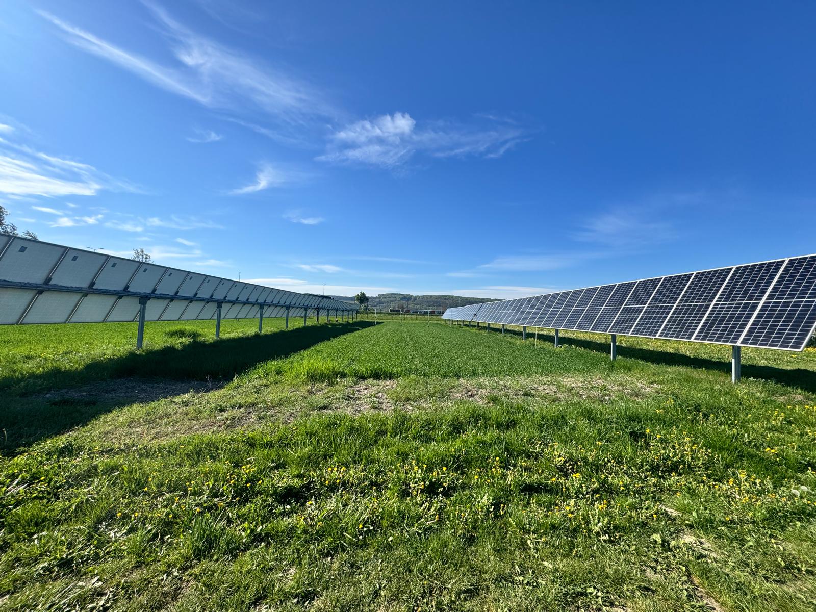 kukainu dzivotnes zalaji un saules energija austrijas pieredze biodiverse projekta