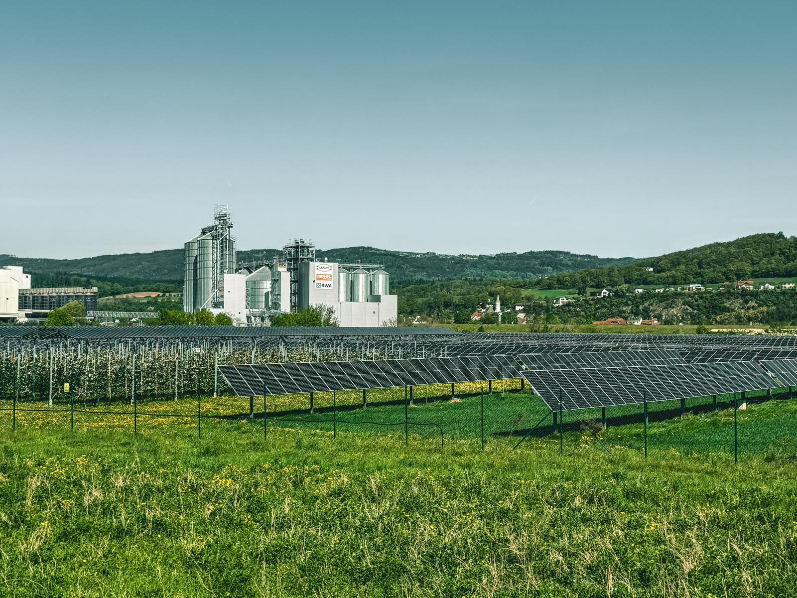 kukainu dzivotnes zalaji un saules energija austrijas pieredze biodiverse projekta