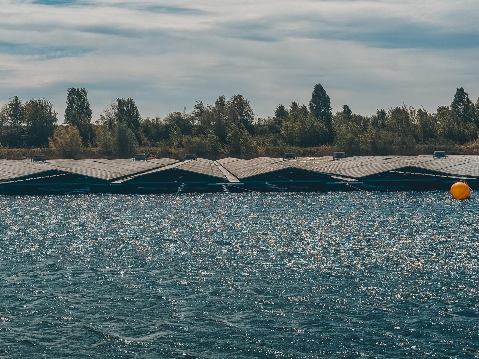kukainu dzivotnes zalaji un saules energija austrijas pieredze biodiverse projekta