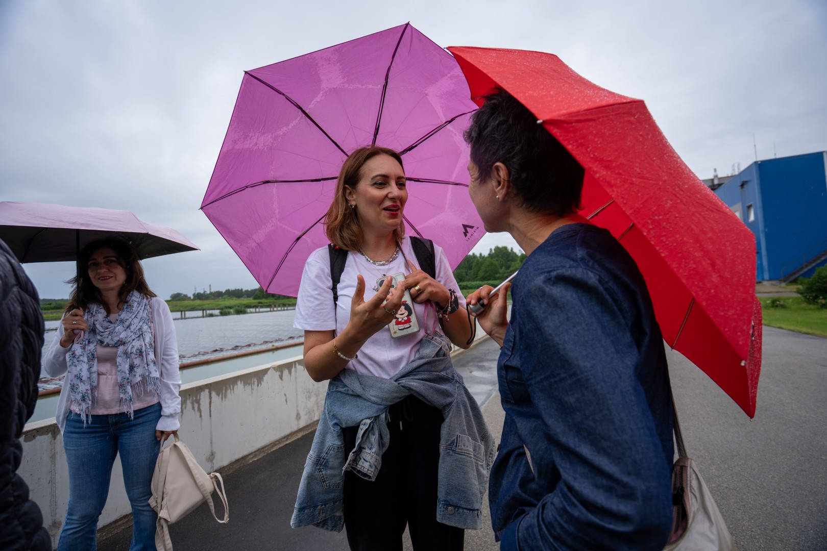 vpr kopa ar eiropas partneriem mekle lidzsvaru starp saules energiju un biologisko daudzveidibu