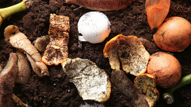 komposts ka resurss partikas atkritumu pievienota vertiba compost365