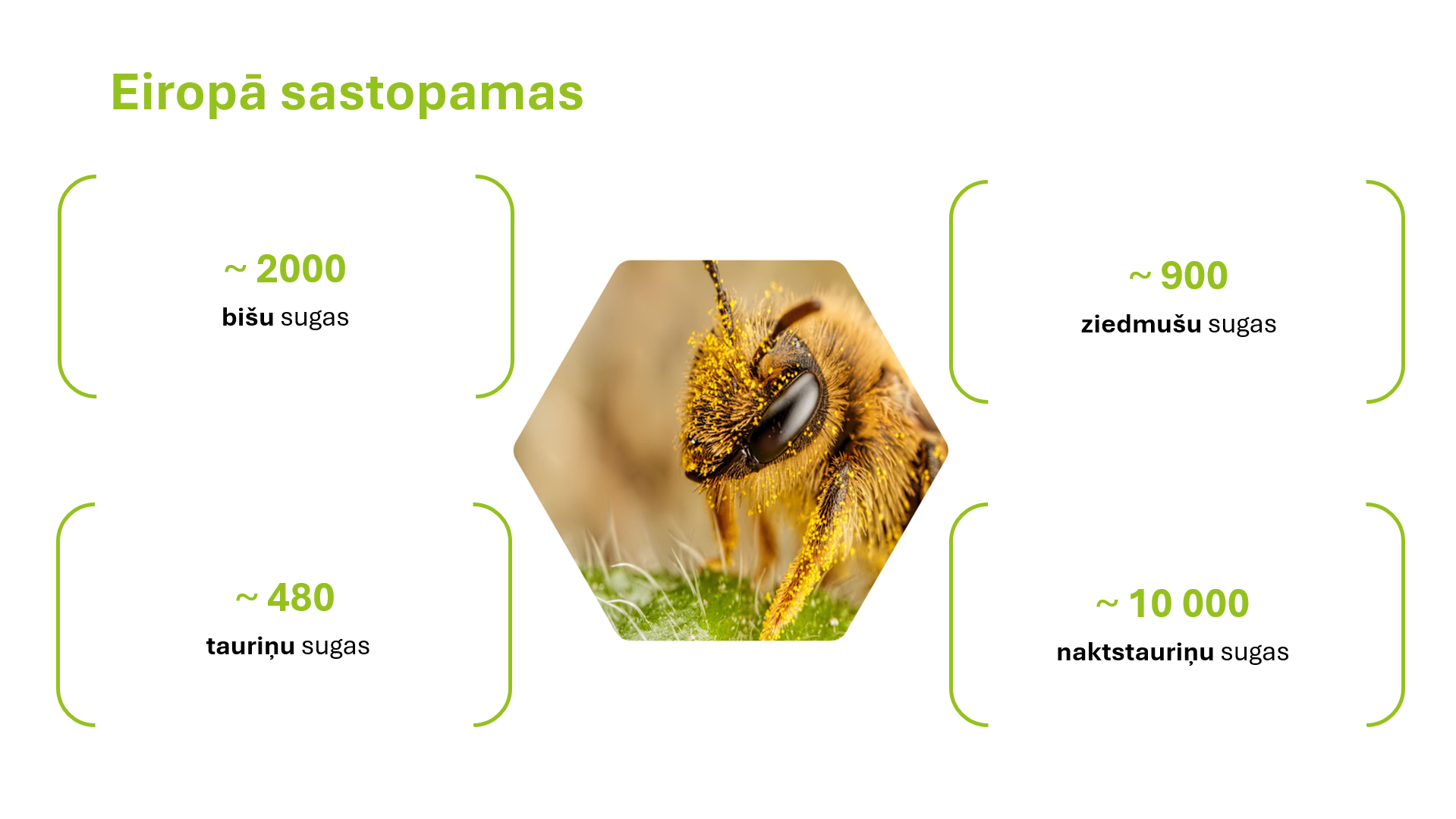 saules parku teritorijas var izmantot ari biologiskas daudzveidibas veicinasanai foto