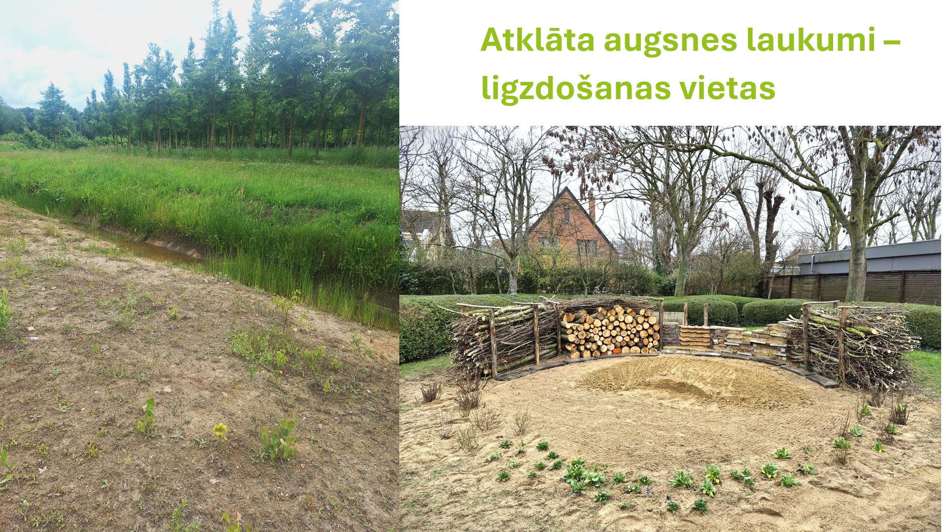 saules parku teritorijas var izmantot ari biologiskas daudzveidibas veicinasanai foto