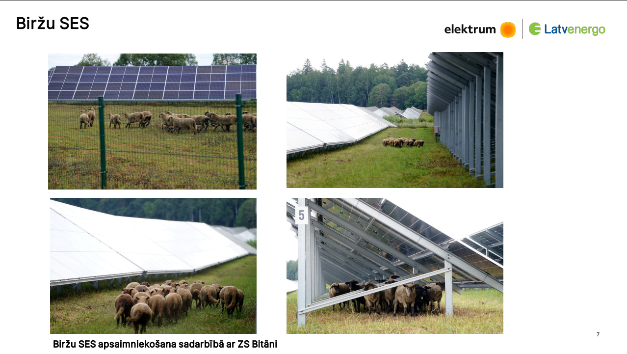 saules parku teritorijas var izmantot ari biologiskas daudzveidibas veicinasanai foto