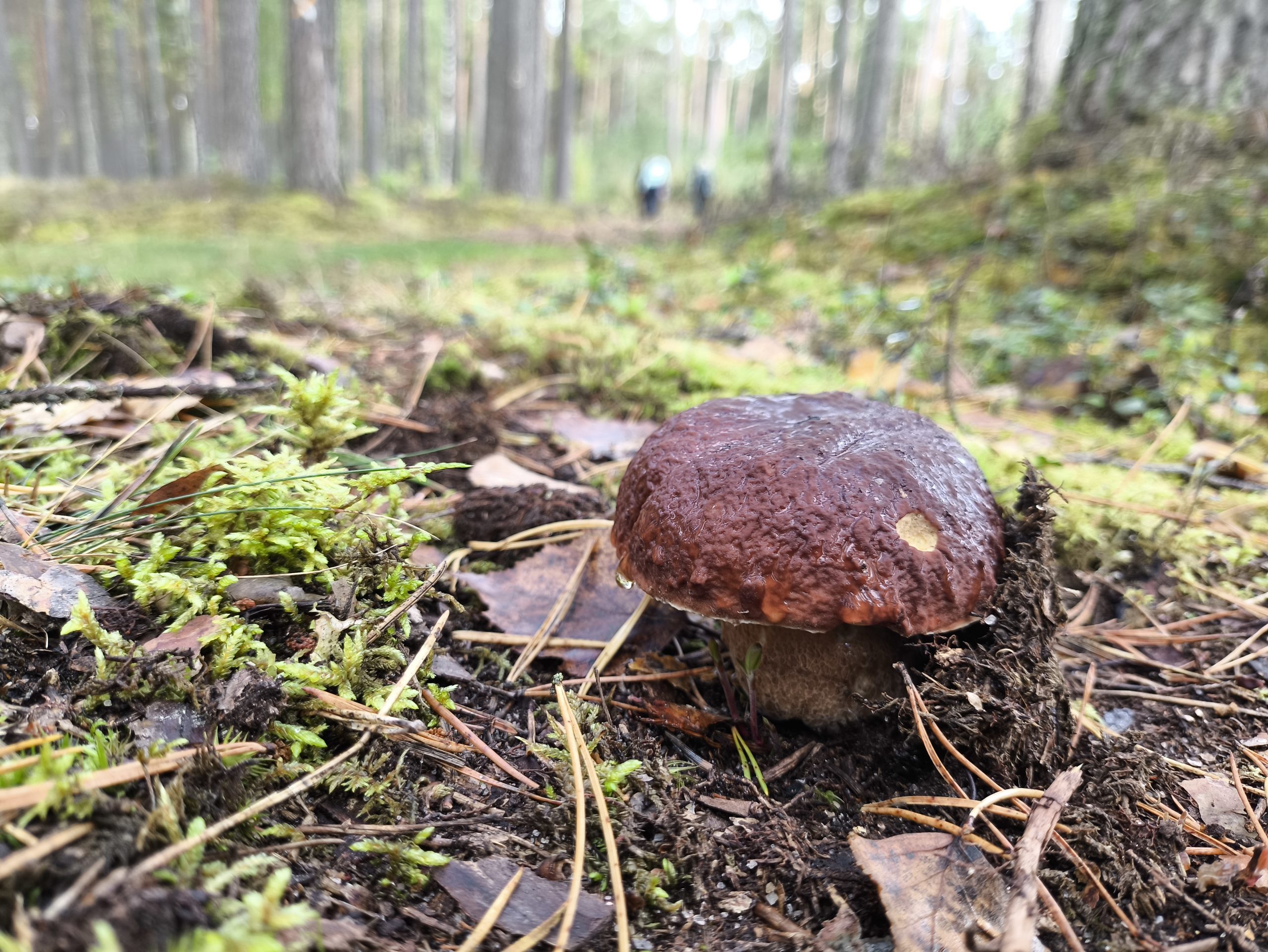 meztaka un jurtaka paplasina iespejas doties daba ikvienam