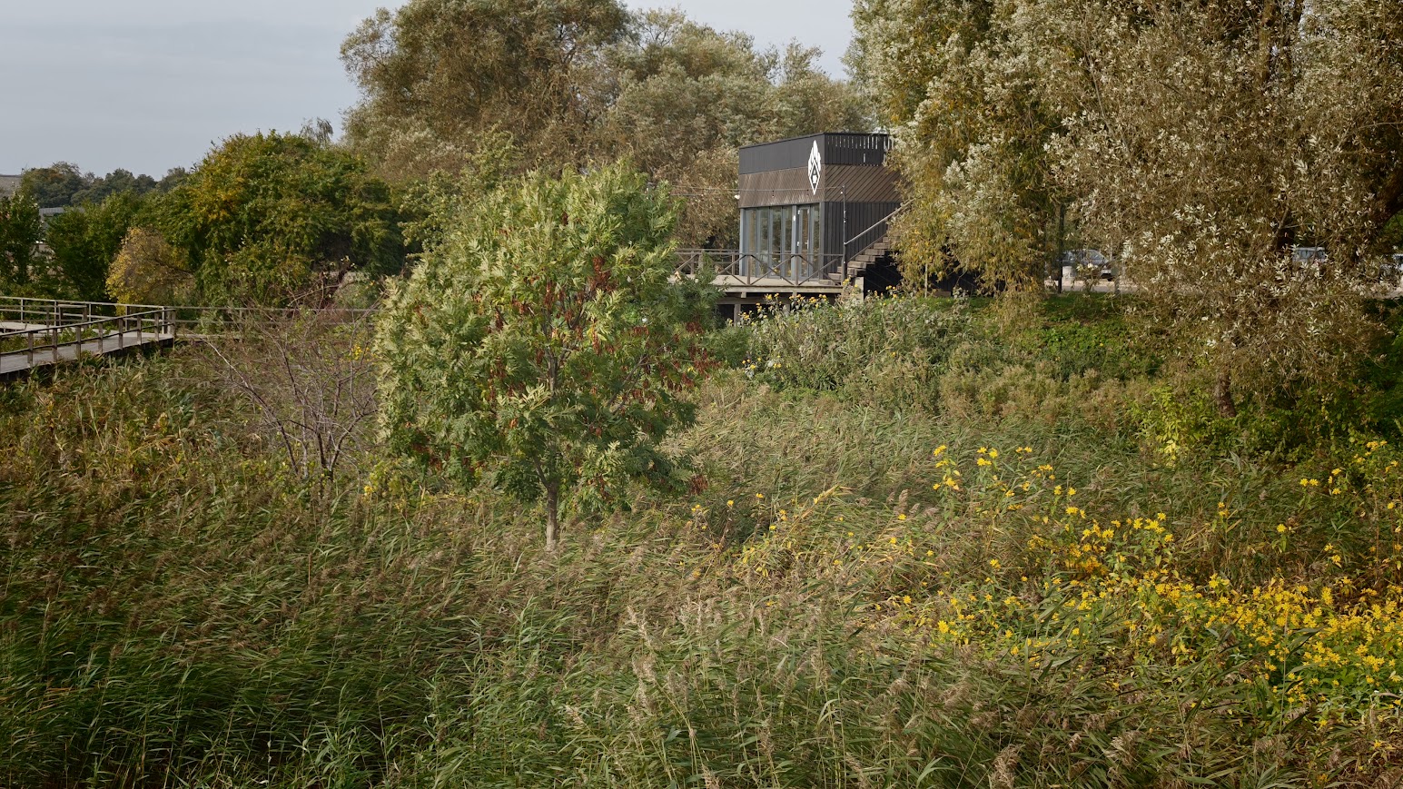 vertiga pieredze nav jamekle tikai arvalstis vidzemes pasvaldibu vizite liepaja un kuldiga