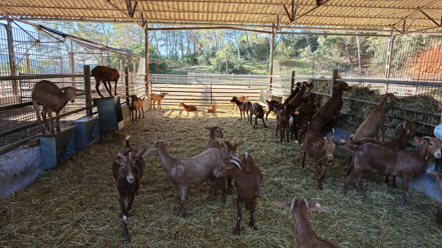 ka panakt lai iedzivotaji un zinatnieki kopigi rupetos par dabas daudzveidibu