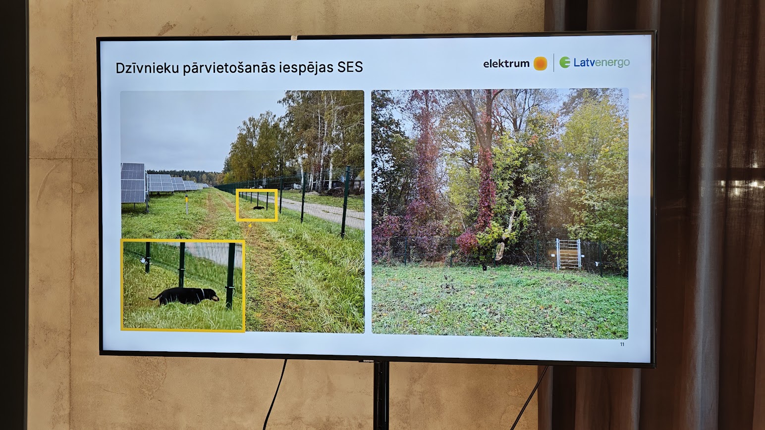 saules parku teritorijas var izmantot ari biologiskas daudzveidibas veicinasanai foto